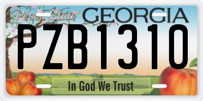 GA license plate PZB1310