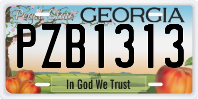 GA license plate PZB1313