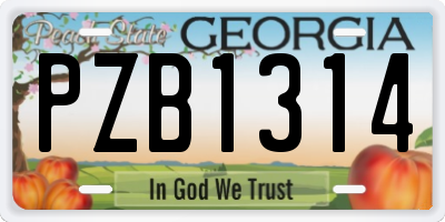 GA license plate PZB1314