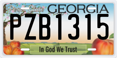 GA license plate PZB1315