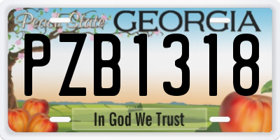 GA license plate PZB1318