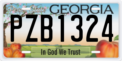 GA license plate PZB1324