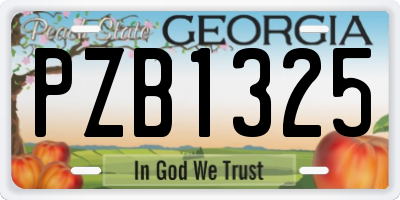 GA license plate PZB1325