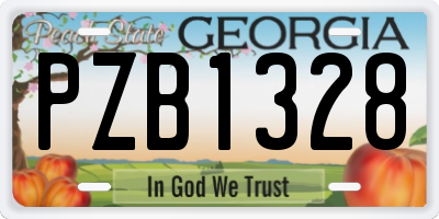 GA license plate PZB1328