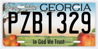GA license plate PZB1329