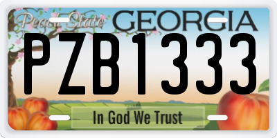 GA license plate PZB1333