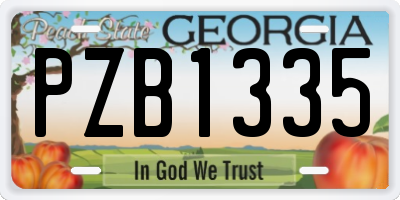 GA license plate PZB1335