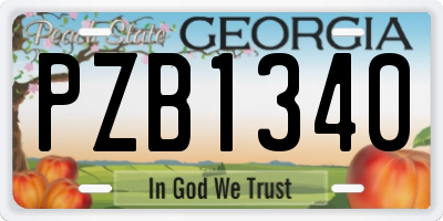 GA license plate PZB1340