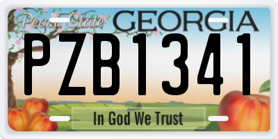 GA license plate PZB1341