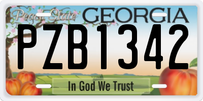 GA license plate PZB1342