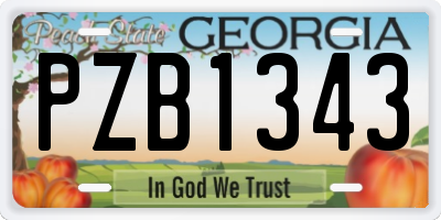 GA license plate PZB1343