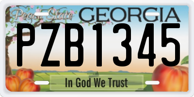 GA license plate PZB1345