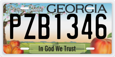 GA license plate PZB1346