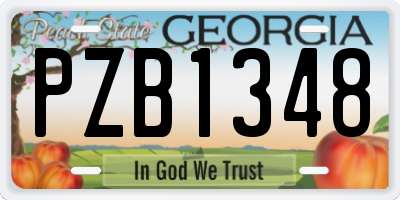 GA license plate PZB1348
