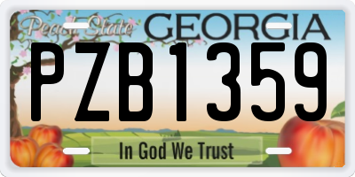GA license plate PZB1359