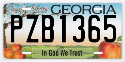 GA license plate PZB1365