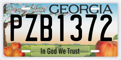 GA license plate PZB1372