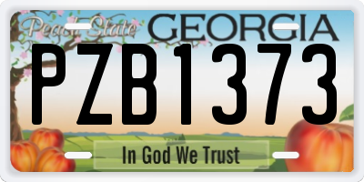 GA license plate PZB1373