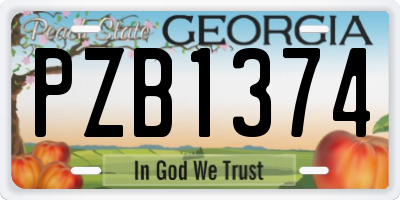 GA license plate PZB1374