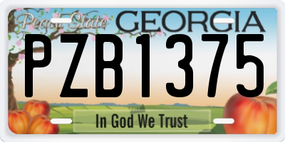 GA license plate PZB1375