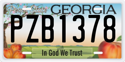 GA license plate PZB1378