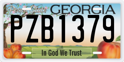 GA license plate PZB1379