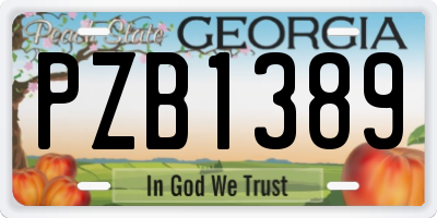 GA license plate PZB1389