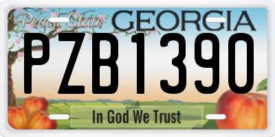 GA license plate PZB1390