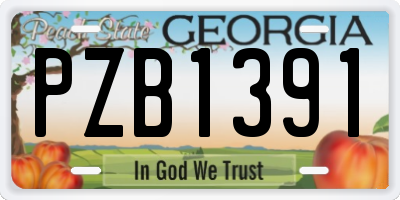 GA license plate PZB1391