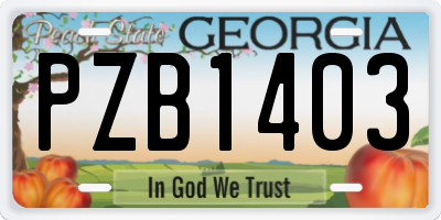 GA license plate PZB1403
