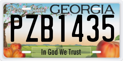 GA license plate PZB1435