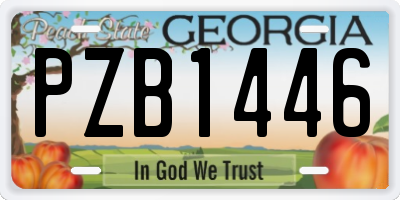 GA license plate PZB1446