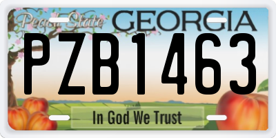GA license plate PZB1463