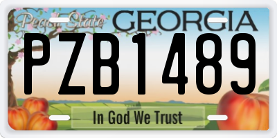 GA license plate PZB1489