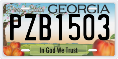 GA license plate PZB1503