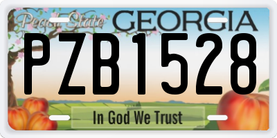 GA license plate PZB1528