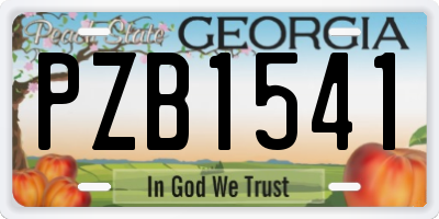 GA license plate PZB1541