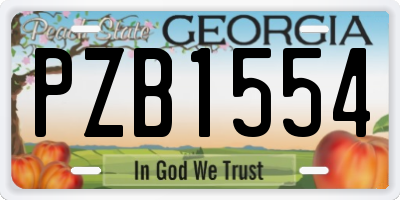 GA license plate PZB1554