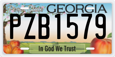 GA license plate PZB1579