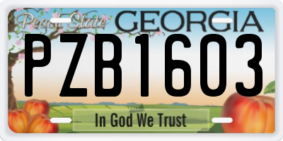 GA license plate PZB1603