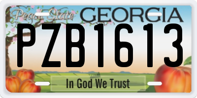 GA license plate PZB1613