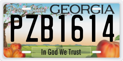GA license plate PZB1614