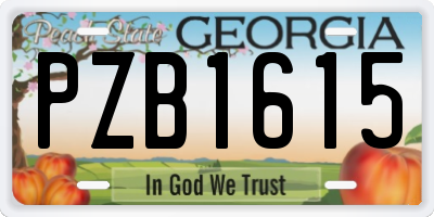 GA license plate PZB1615