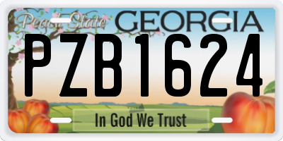 GA license plate PZB1624