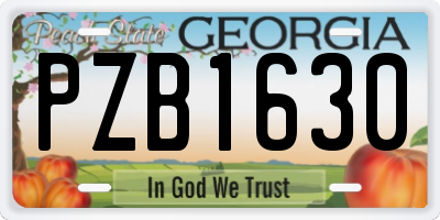 GA license plate PZB1630