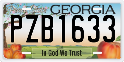 GA license plate PZB1633