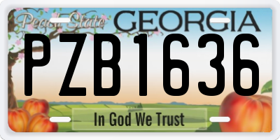 GA license plate PZB1636