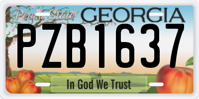 GA license plate PZB1637