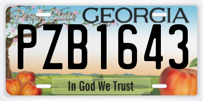 GA license plate PZB1643