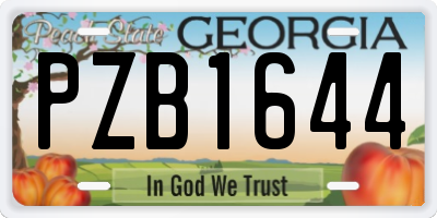 GA license plate PZB1644